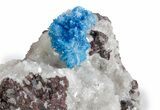 Vibrant Blue Cavansite Crystals on Sparkling Stilbite - India #357233-1